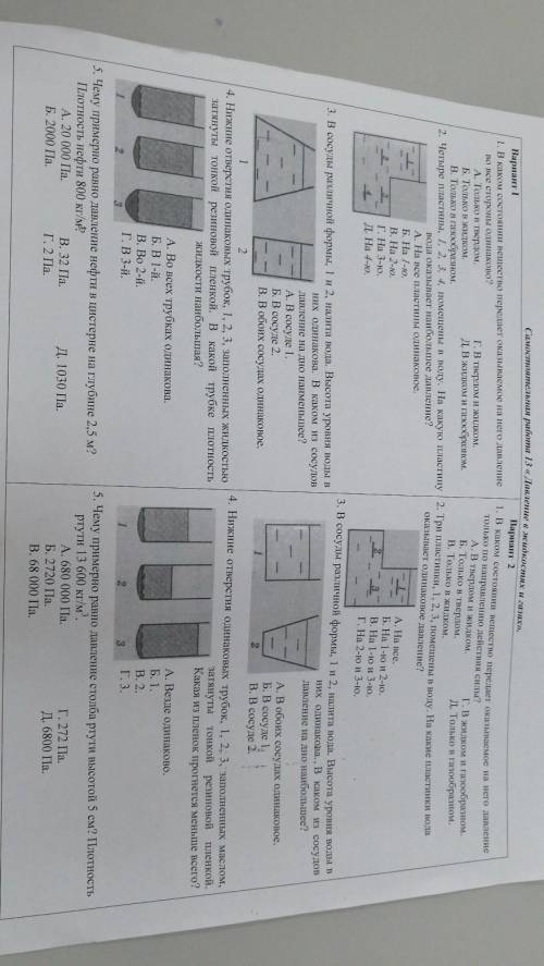 Помгие 1 и 2 варианты 7 класс ​