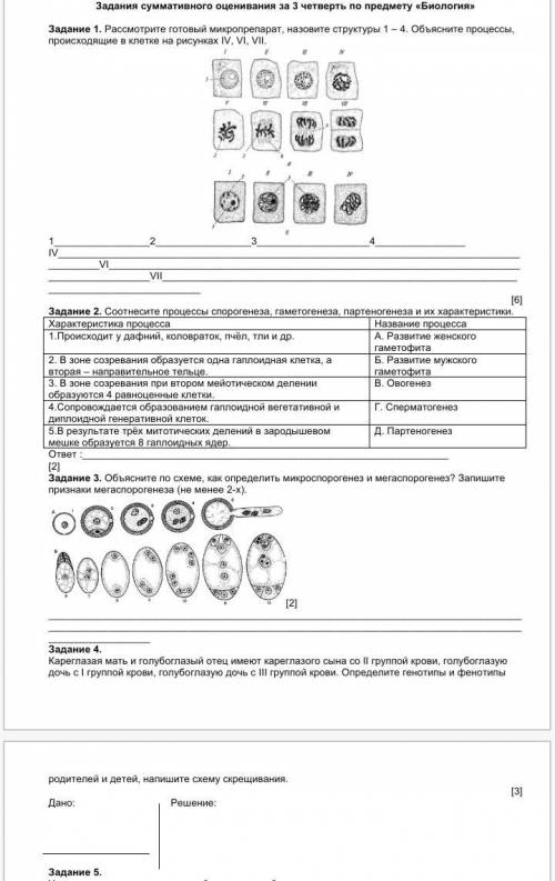 Решите соч по биологии кто может. Please.