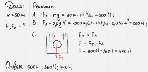 Масса камня равна 80 кг. Определите: А. силу тяжести, действующую на каменьВ. выталкивающую силу, ес