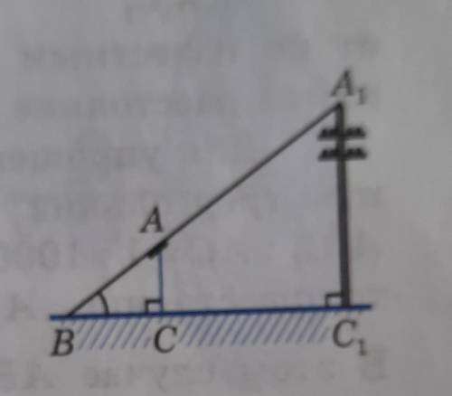 для определения высоты столба А1С1, изображенного на рисунке, использован шест с вращающейся плёнкой