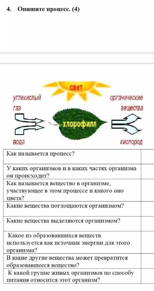 делайте задание полнастью ответ на вопрос ​