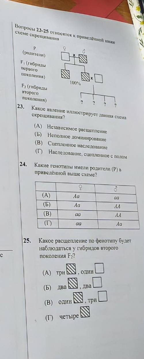 разобраться с вопросами с подробным объяснением ​