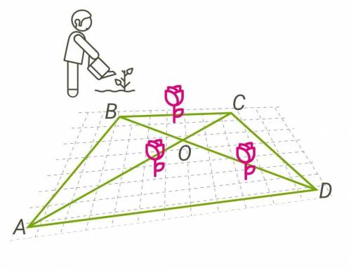 В парке при музее решили разбить клумбу в форме четырёхугольника. Две стороны этой клумбы (AD и BC),