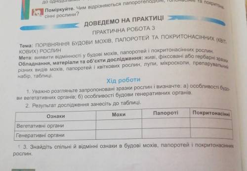 Біологія 6клас Остапченко практична робота номер ​