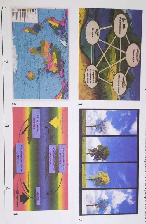 Задание1. определите по картинкам основные закономерности географической оболочки ​