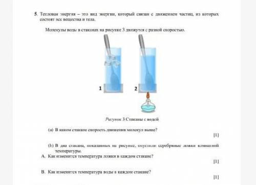 Даю карона за правельный ответ​