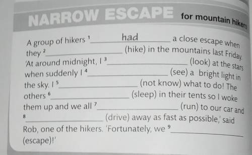 4 Complete the text. Use the past simple or the continuous form of the verbs in brackets.