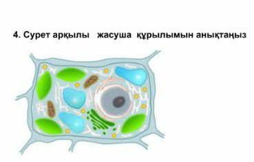 сделать это пожауйста тем кто ответит на этот вапрос​