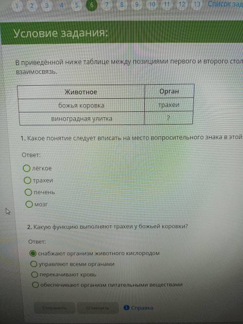 Какое понятие следует вписать на место вопросительно знака в этой таблице?