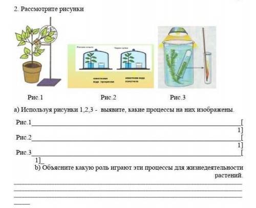 Задания из СОЧ БИОЛОГИЯ 7 КЛАСС за 3 четверть ПОЖАЙЛУСТАА​