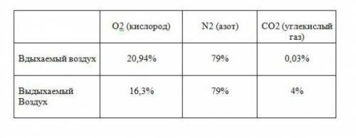 Какие выводы можно сделать на основе анализа данной информации?​