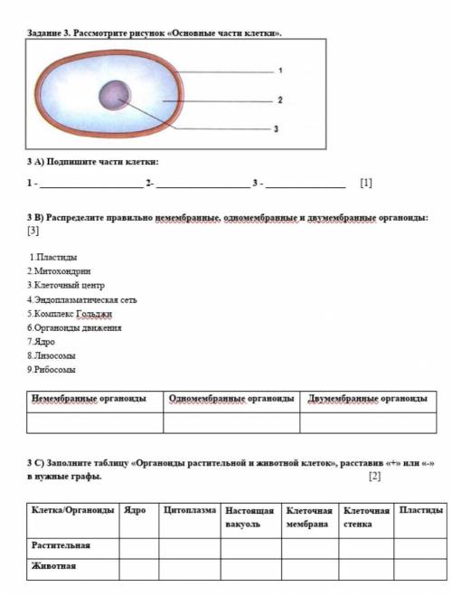 За неправильные ответы буду банить.