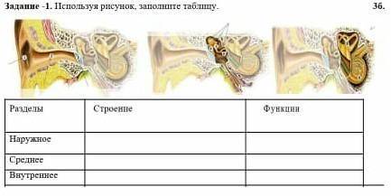 СОЧ используя рисунок, заполните таблицу разделы ​