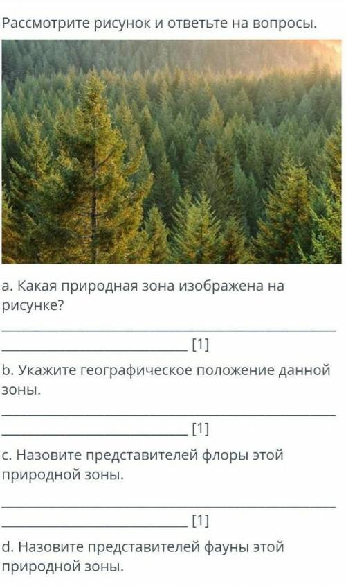 Рассмотрите рисунок ответьте на вопросы Какая природная зона изображено на рисунке Укажите географич