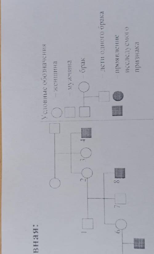 А) Определите характер наследования признака (доминантный или рецессивный, сцеплен или не сцеплен с