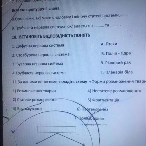 10. ВСТАНОВть відповідність понять 1. Дифузна нервова система А. Птахи 2. Стовбурова нервова система