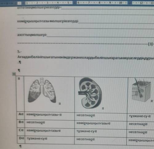 Анзадан болинип шыгатын онимдер Жане оларды болип шыгаратын мушелердин дурыс Катрин белгилениз ​