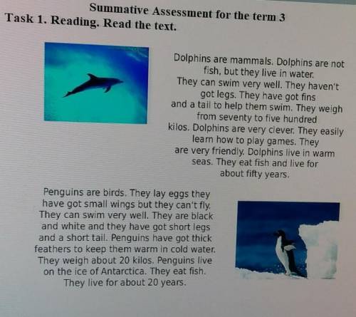 1. What kind of animals are dolphins? 2. What do they have?3. What are their weight?4. Where do dolp