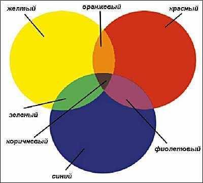 Красный, синий, жёлтый – это цвета… какие?