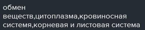 Задание 4.  – это непрерывный процесс переноса необходимых веществ для организма к его органам, тка