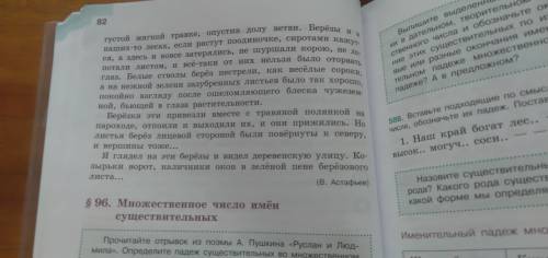 Озоглавьте и напишите подробное описание берёзок своими словами от 3 лица