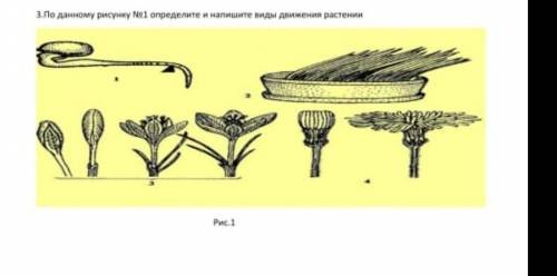 По данному рисунку №1 определите и напишите виды движения растении​