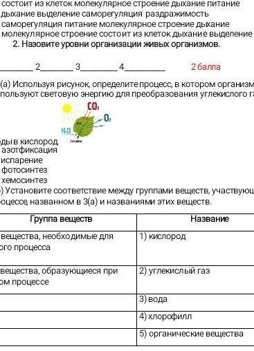 Установите соответствие между группами вещевств, учавствующими в процессе, названом в 3(а) и названи