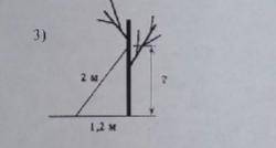 Дерево | 2м 1.5 м | найти ? ) |