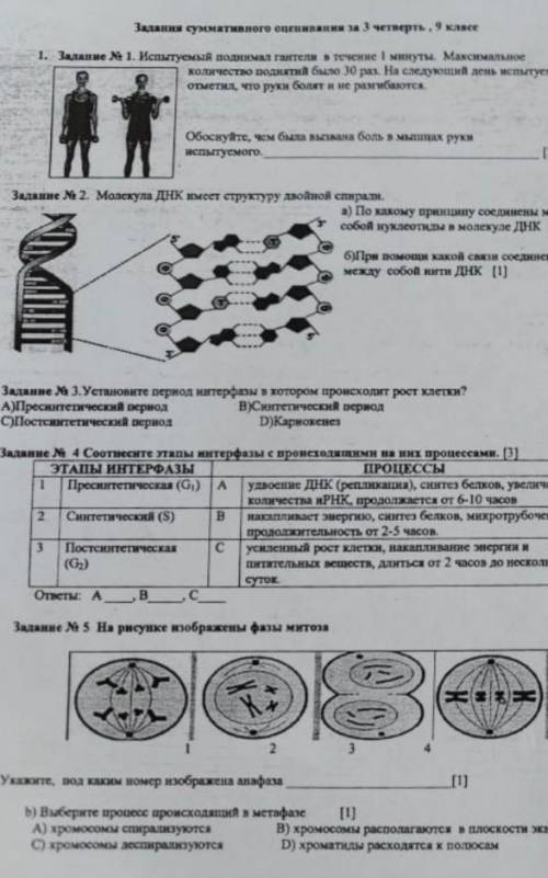 решить задания биологии 9 класс​