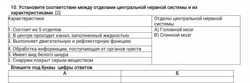 утановите соответствие между отделами центральной нервной ситемы и их характеристики состоит из5 отд