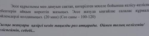 Эссе құрылымы мен дамуын сақтап, көтерілген мәселе бойынша келісу-келіспеу себептерін айқын көрсетіп