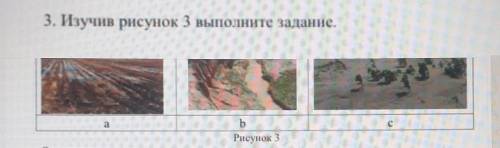 3. Изучив рисунок 3 выполните задание.аbРисунок 3 ​