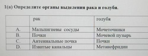 1(а) Определите органы выделения рака и голубя. ракголубяА.В.С.D.Мальпигиевы сосудыПочкиАнтеннальные