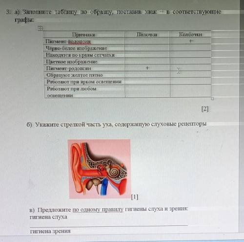 А)заполните таблица по образцу поставьте знак плюс в соответствующие графы б) укажите часть уха соде