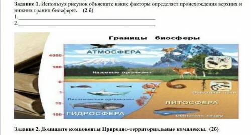 нормально география 7 класс​