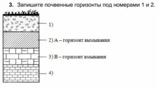 3. Запишите почвенные горизонты под номерами 1 и 2.​ это география