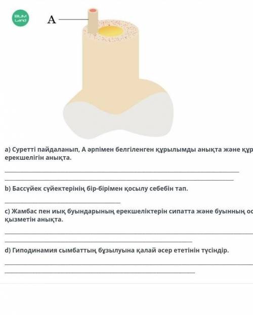 а) Используя рисунок, определите и создайте структуру, отмеченную буквой А. определить специфику. б)