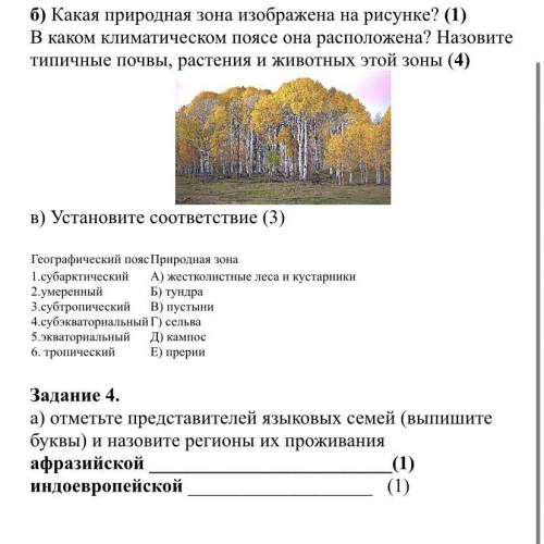 Какая природная зона изображена на рисунке? (1) В каком климатическом поясе она расположена? Назовит