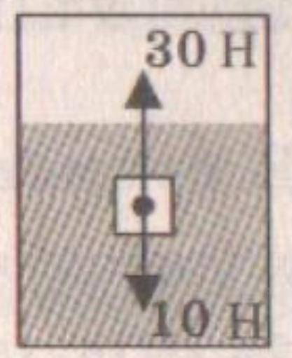Как будет вести себя тело изображенное на рисунке 30 н и 10 н ответ