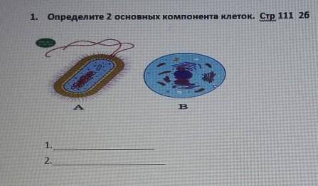 Определите две основных компонента клеток​​