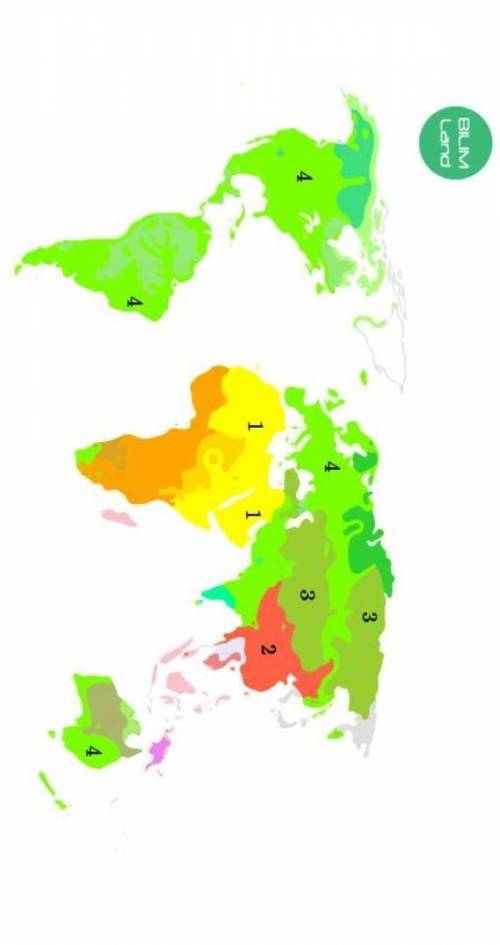 1. Қандай тілдік отбасының таралуы 1 санымен берілген? 2. Кандай тілдік отбасының таралуы 2 санымен