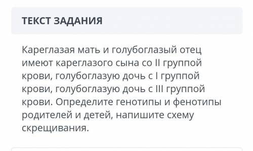 Кареглазая мать и голубоглазый отец имеют кареглазого сына со 2 груп крови , голубоглаз дось с 1 гру