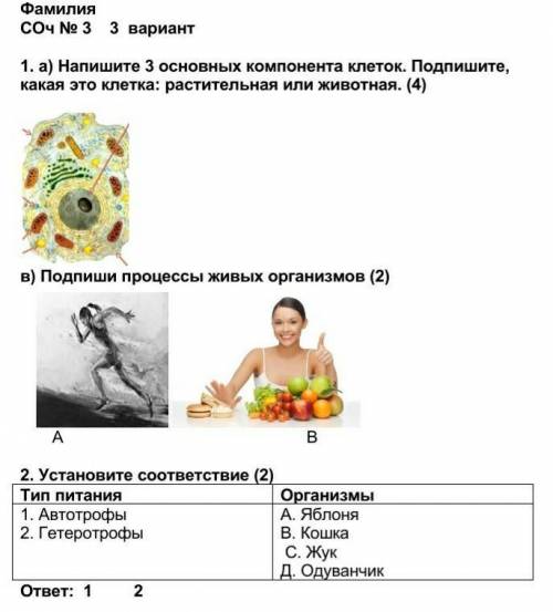 1. а) Напишите 3 основных компонента клеток. Подпишите,  какая это клетка: растительная или животная