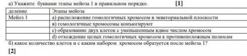 Укажите буквами этапы мейоза 1 в а правильном порядке ​