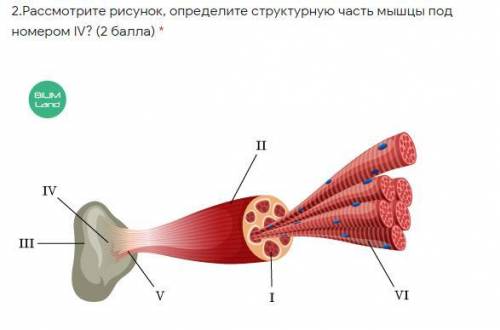 это не очень сложный вопрос