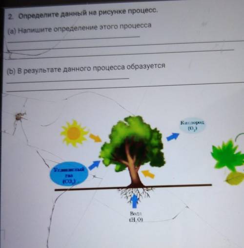 Определите данные на рисунке процесс. )(а) Напишите определение этого процесса (n) в результате данн