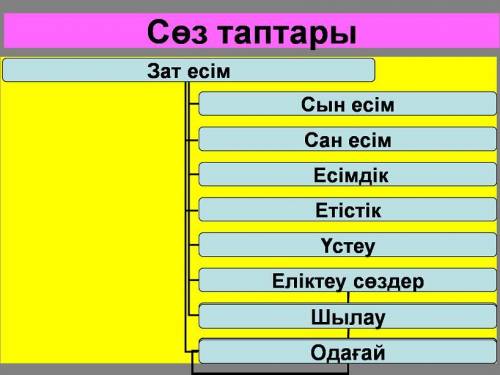 Қазақ тілі.ТЖБ1.Сөз таптары.Түрлері.Мысалдар келтіру​