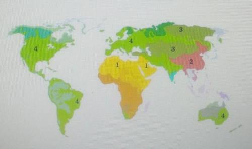 А)По карте определите, под какими цифрами значатся распространение каких языковых семей? 1-2-3-4-В)П