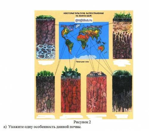 2.Изучив почвенные горизонты на рисунке, определите и подпишите черноземы: а) Укажите одну особеннос