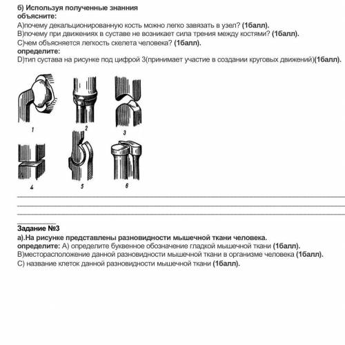 А)почему декальционированную кость можно легко завязать в узел? ( ). В)почему при движениях в сустав